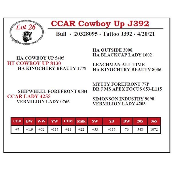 CCAR Cowboy Up J392