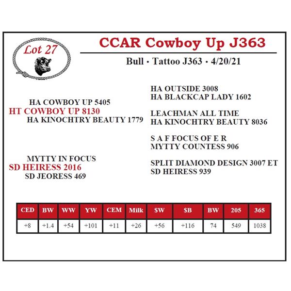 CCAR Cowboy Up J363