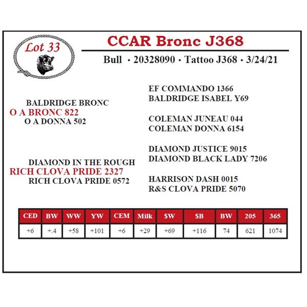 CCAR Bronc J368