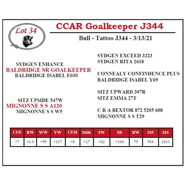 CCAR Goalkeeper J344