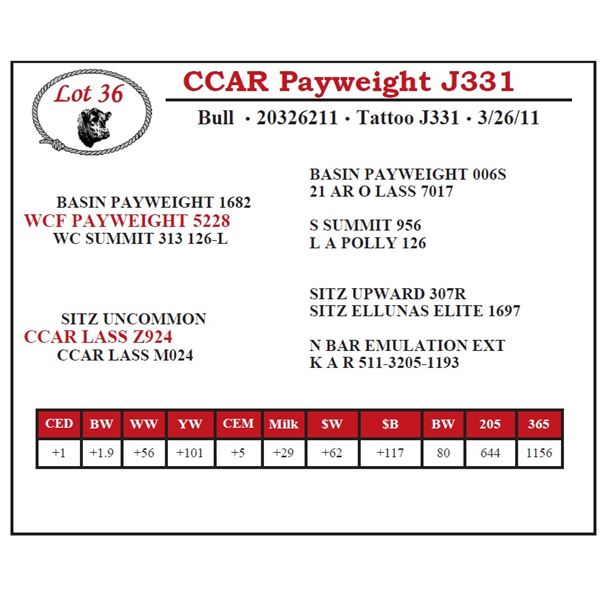 CCAR Payweight J331