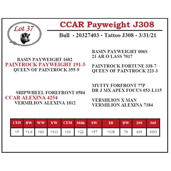 CCAR Payweight J308