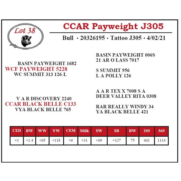 CCAR Payweight J305