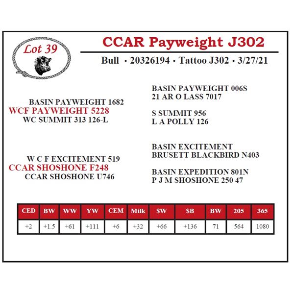 CCAR Payweight J302