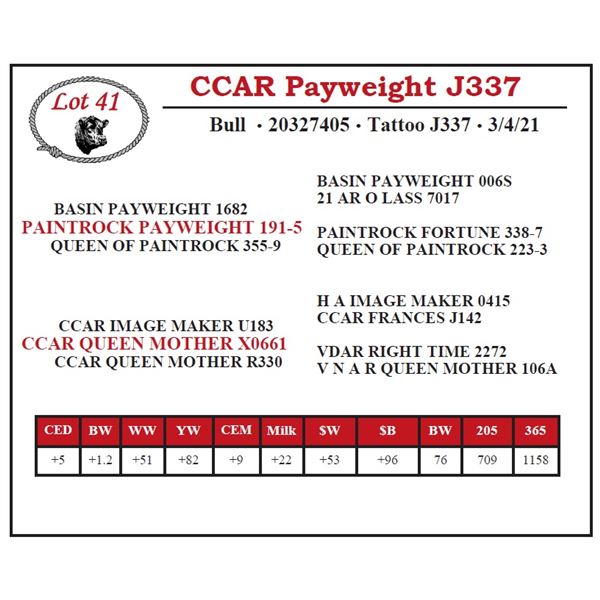 CCAR Payweight J337