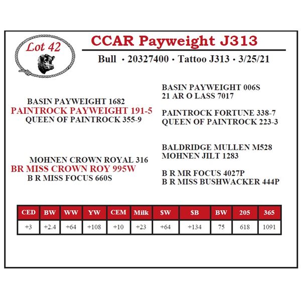 CCAR Payweight J313