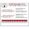Image 1 : CCAR Payweight J313
