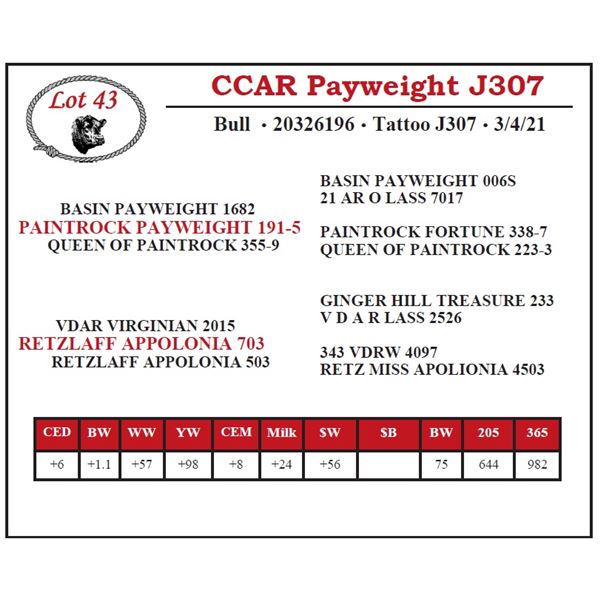 CCAR Payweight J307