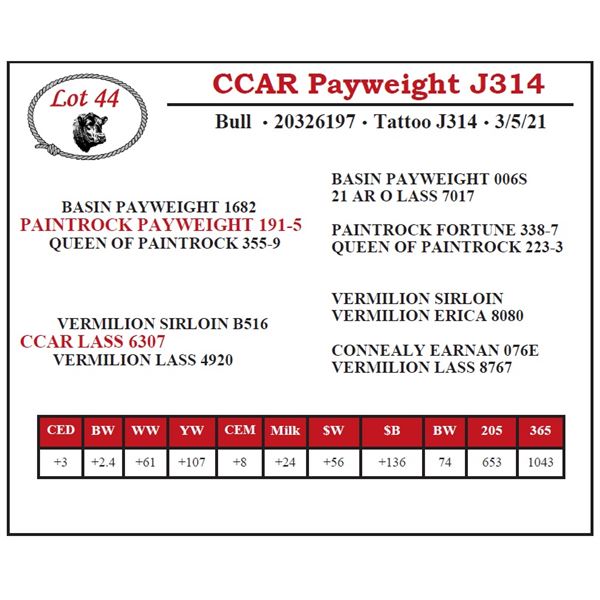 CCAR Payweight J314