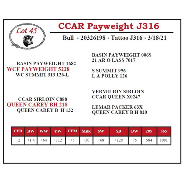 CCAR Payweight J316