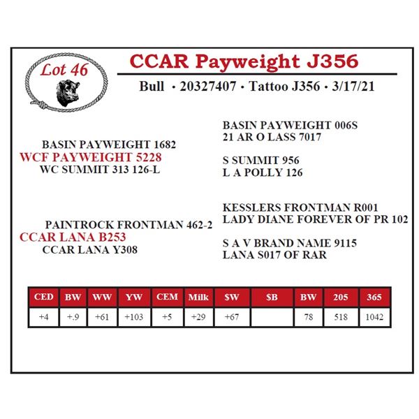 CCAR Payweight J356