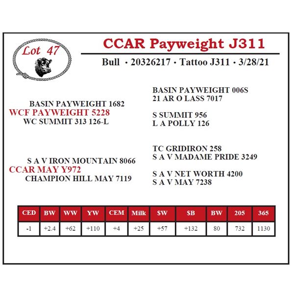 CCAR Payweight J311