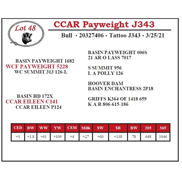 CCAR Payweight J343