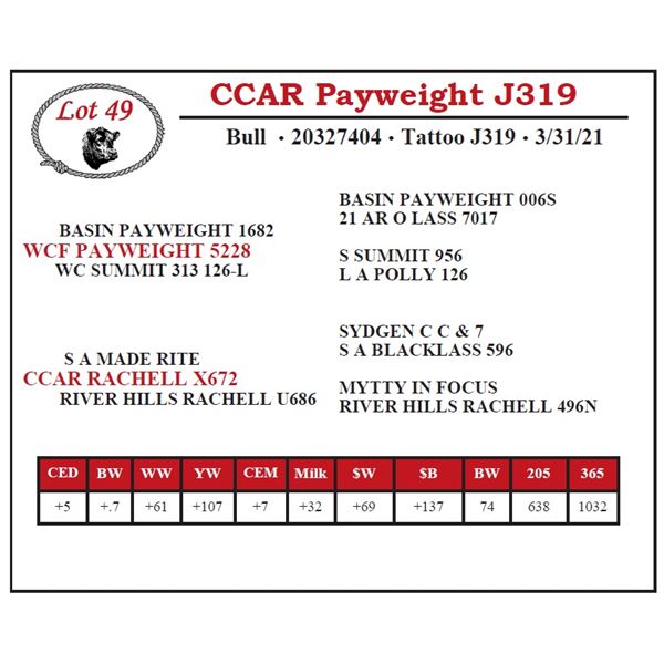 CCAR Payweight J319