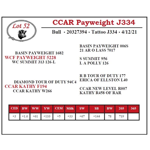 CCAR Payweight J334