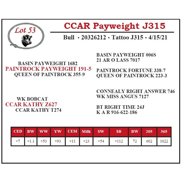 CCAR Payweight J315