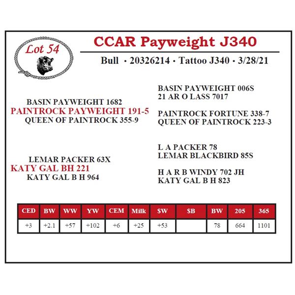 CCAR Payweight J340