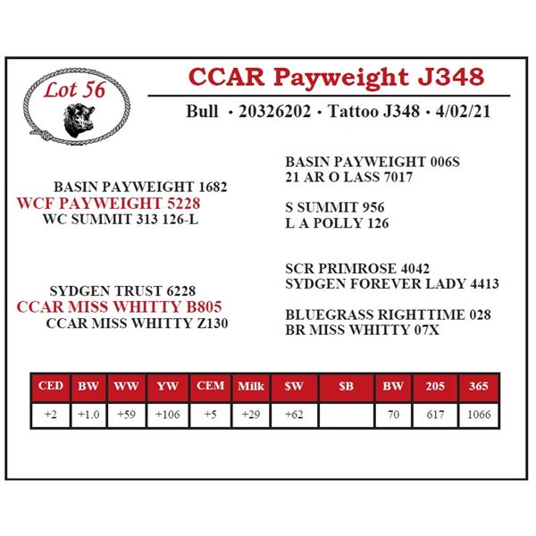 CCAR Payweight J348