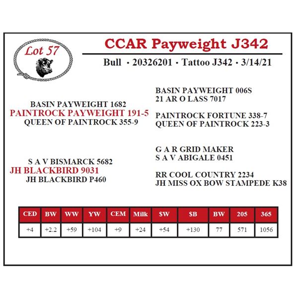 CCAR Payweight J342