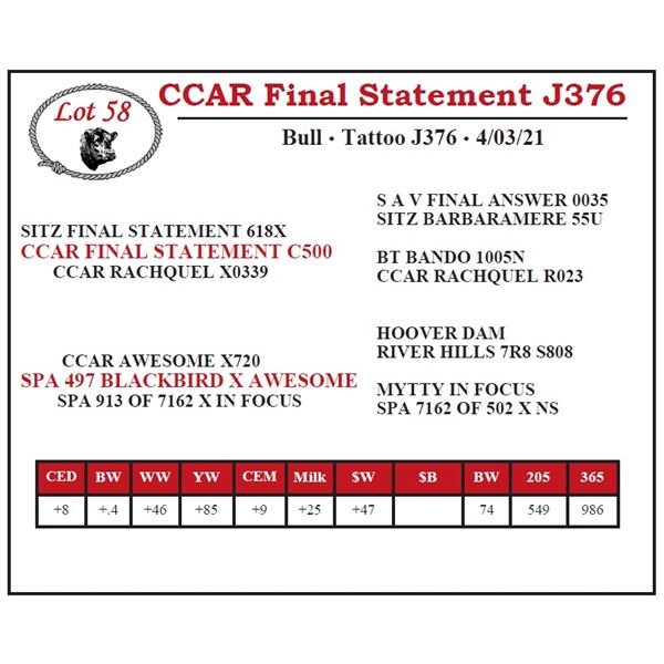 CCAR Final Statement J376