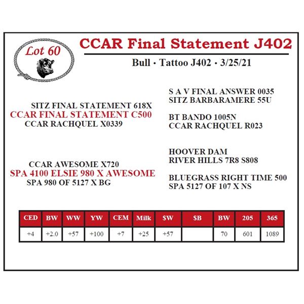 CCAR Final Statement J402