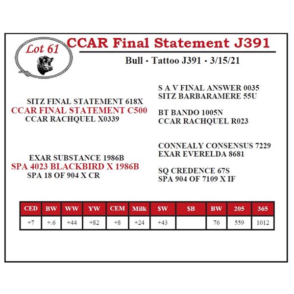 CCAR Final Statement J391