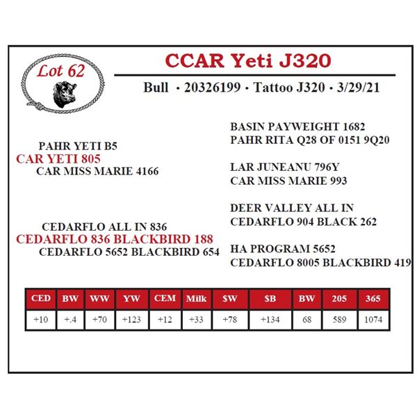 CCAR Yeti J320