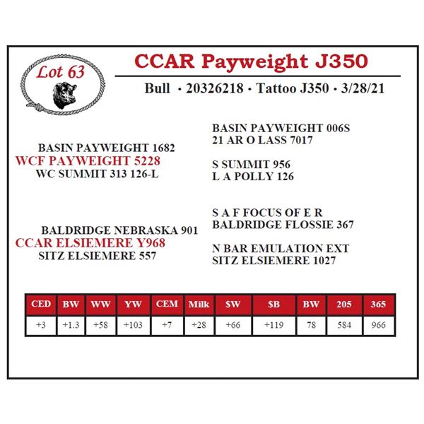 CCAR Payweight J350