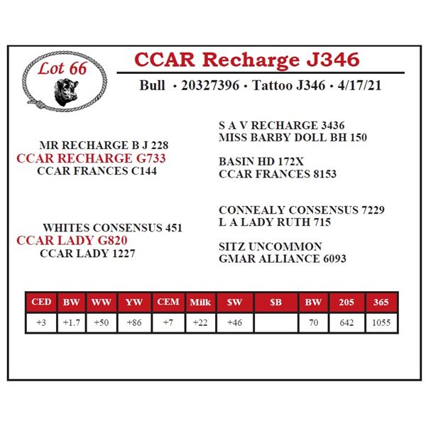 CCAR Recharge J346