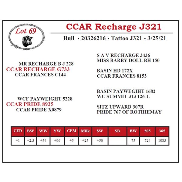 CCAR Recharge J321