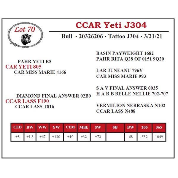 CCAR Yeti J304