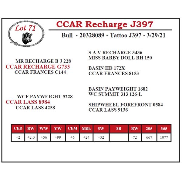 CCAR Recharge J397