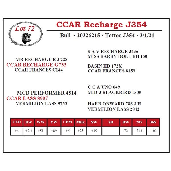 CCAR Recharge J354