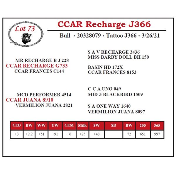 CCAR Recharge J366