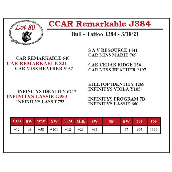 CCAR Remarkable J384