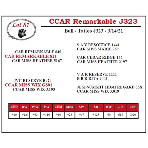 CCAR Remarkable J323