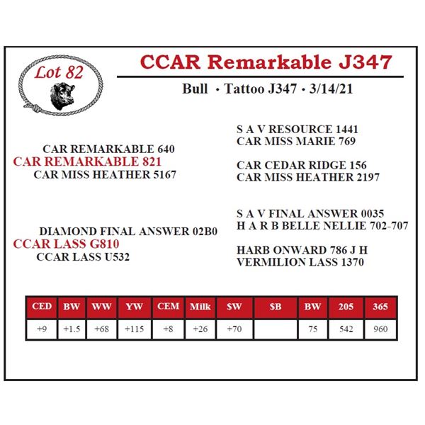 CCAR Remarkable J347