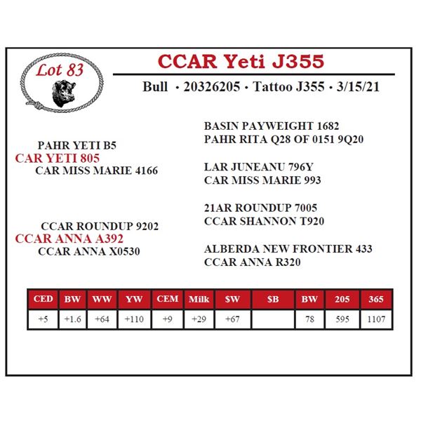 CCAR Yeti J355