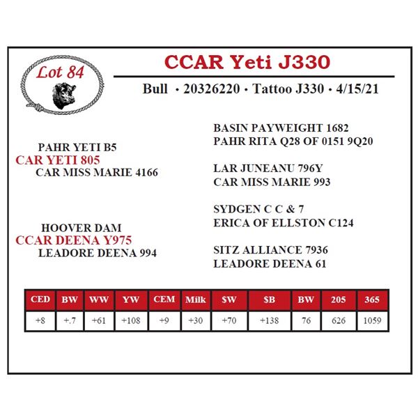 CCAR Yeti J330