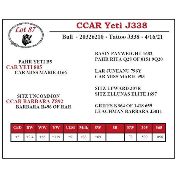 CCAR Yeti J338