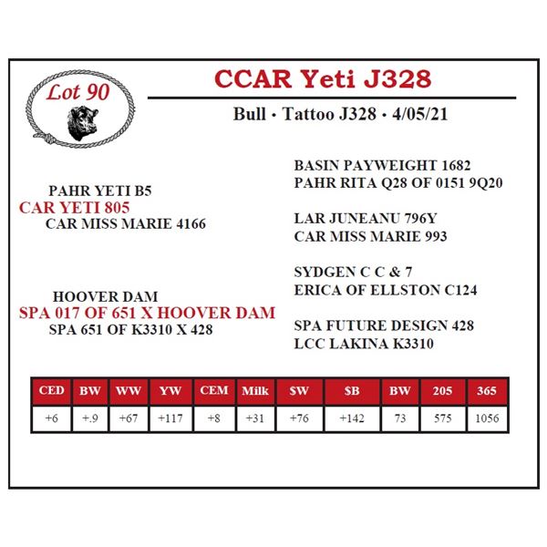 CCAR Yeti J328