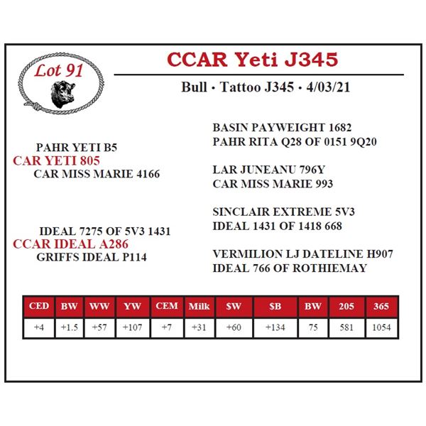 CCAR Yeti J345