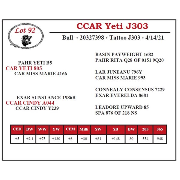 CCAR Yeti J303