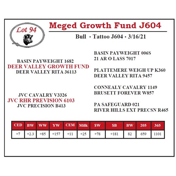 Meged Growth Fund J604