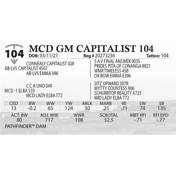 MCD GM CAPITALIST 104