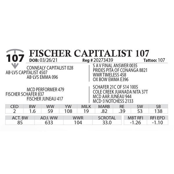 FISCHER CAPITALIST 107