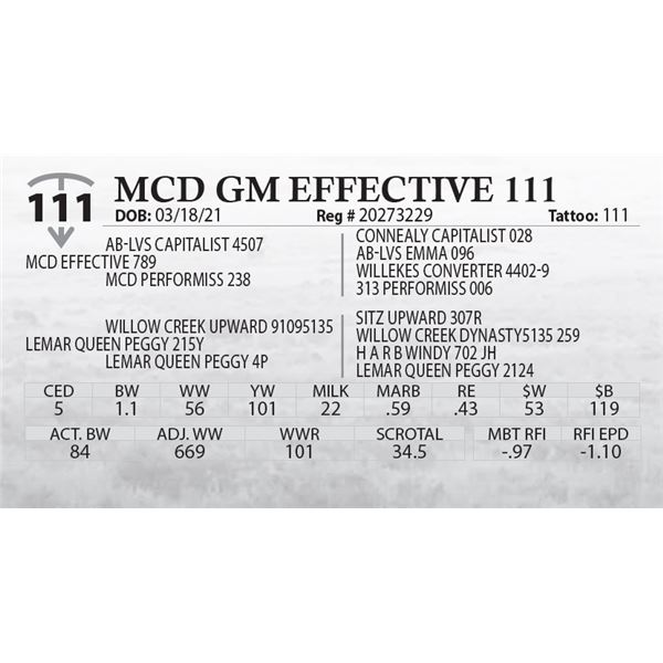 MCD GM EFFECTIVE 111