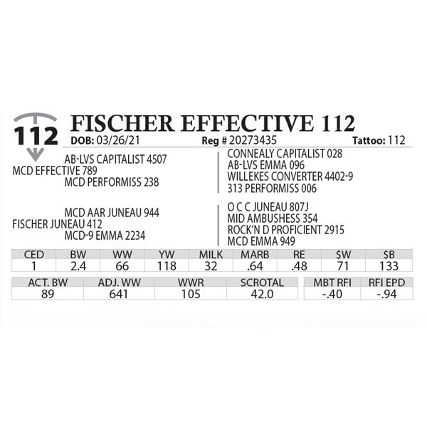 FISCHER EFFECTIVE 112