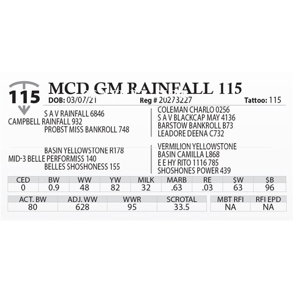 MCD GM RAINFALL 115