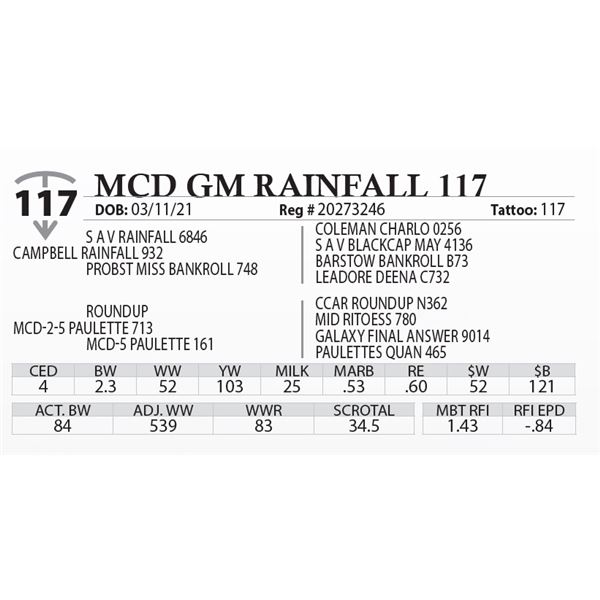 MCD GM RAINFALL 117